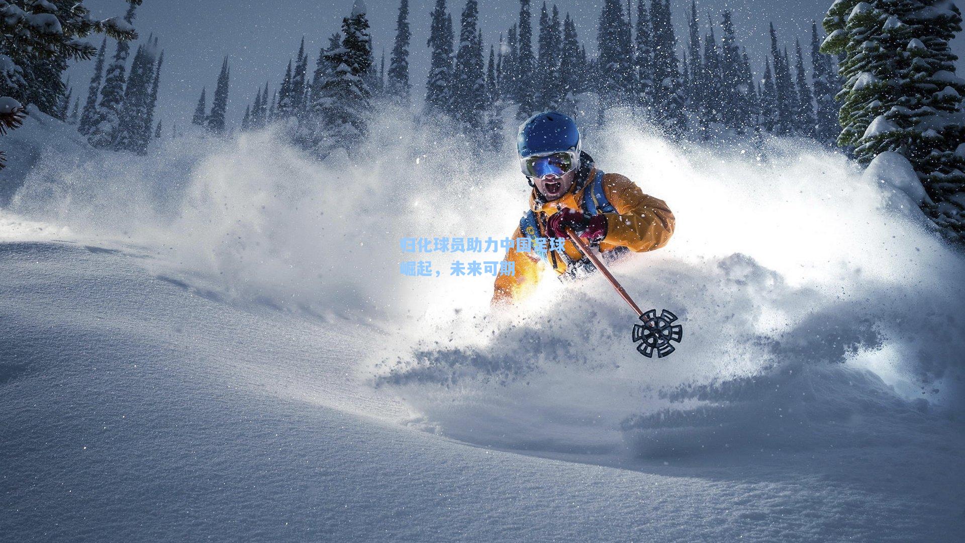 归化球员助力中国足球崛起,未来可期
