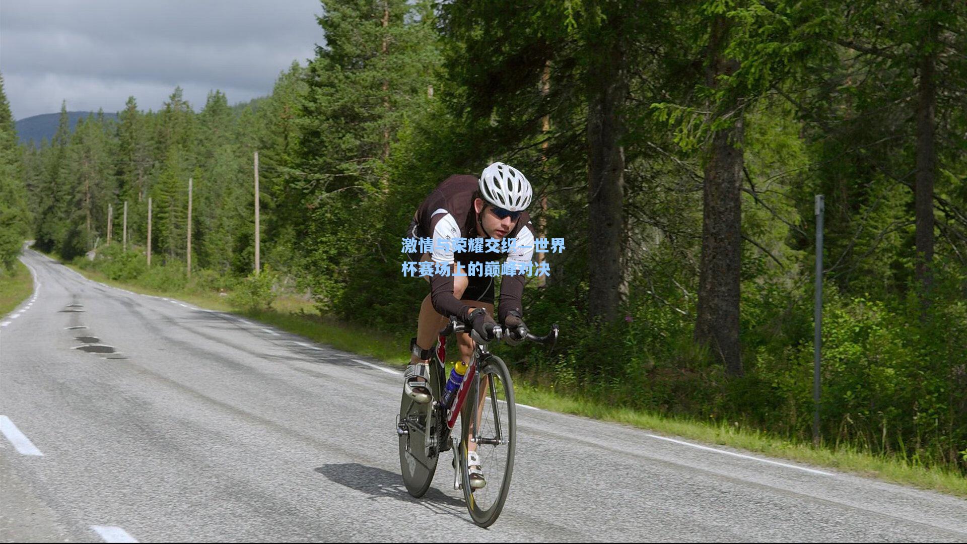 激情与荣耀交织—世界杯赛场上的巅峰对决