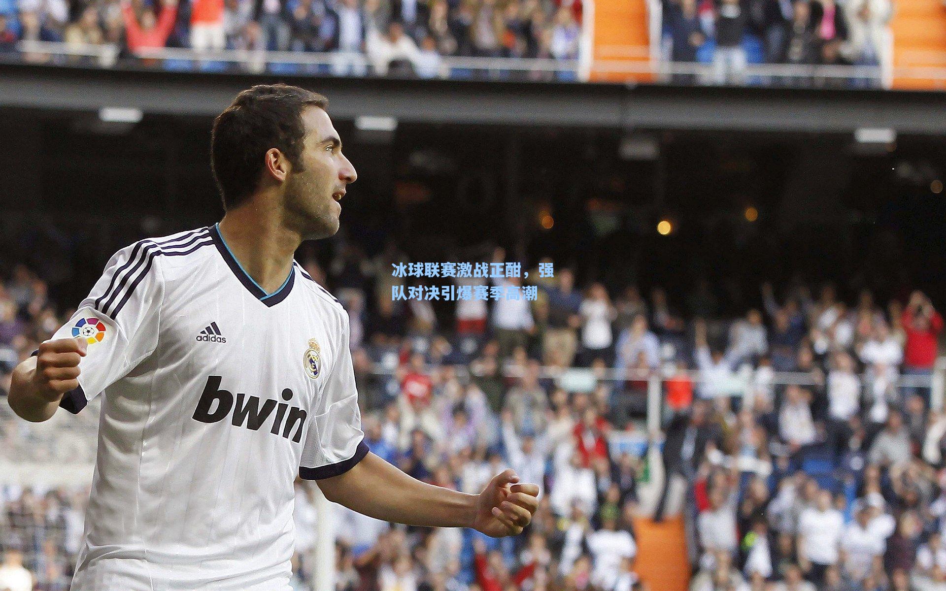 冰球联赛激战正酣，强队对决引爆赛季高潮