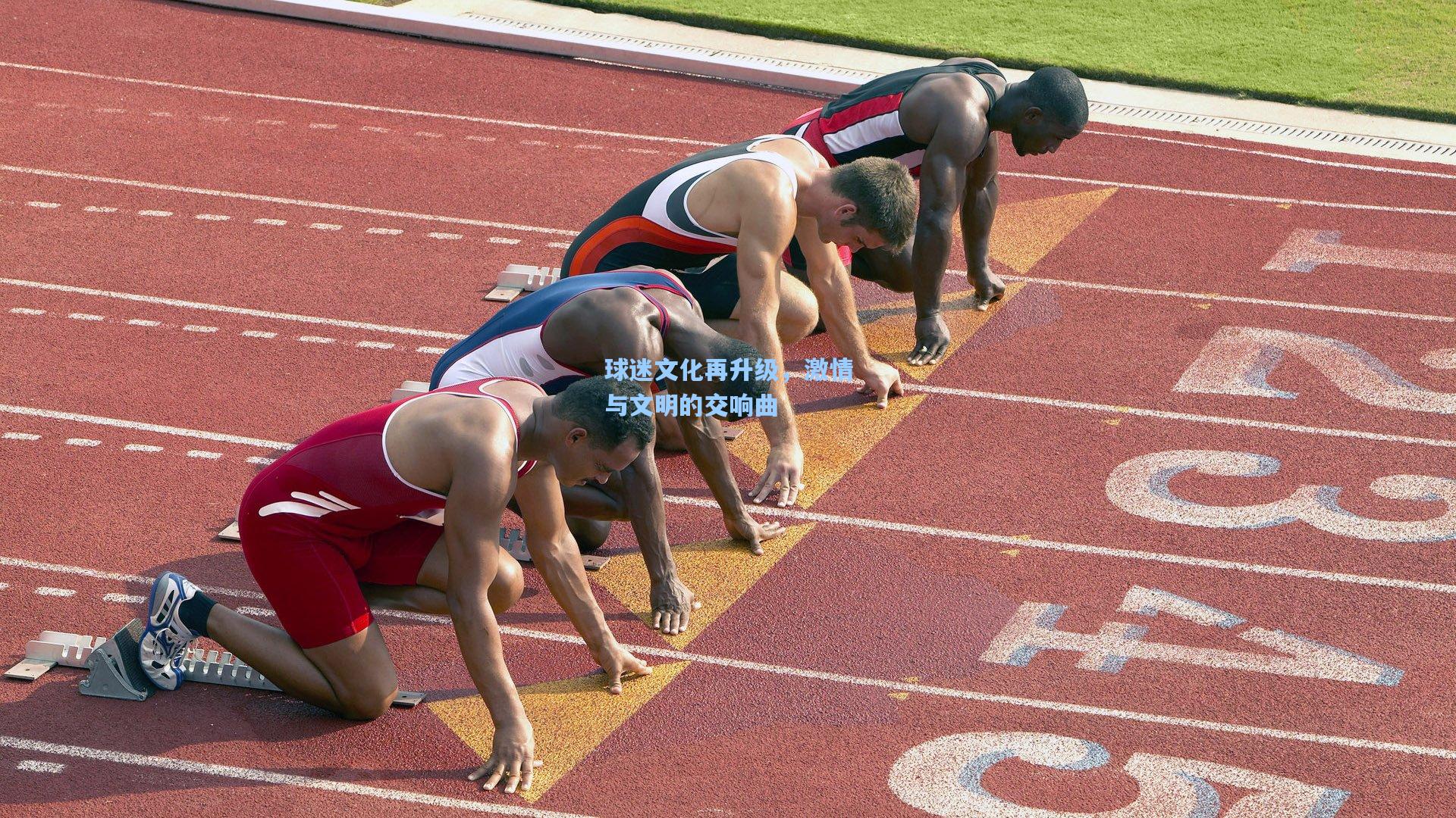 球迷文化再升级,激情与文明的交响曲